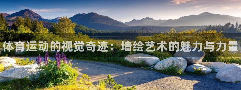 MK体育官网下载招商电话：体育运动的视觉奇迹：墙绘艺