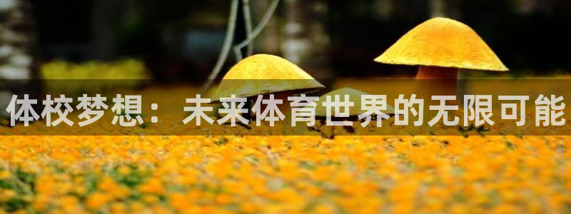 MK体育官方正版app集团E.ON：体校梦想：未来体育世界的