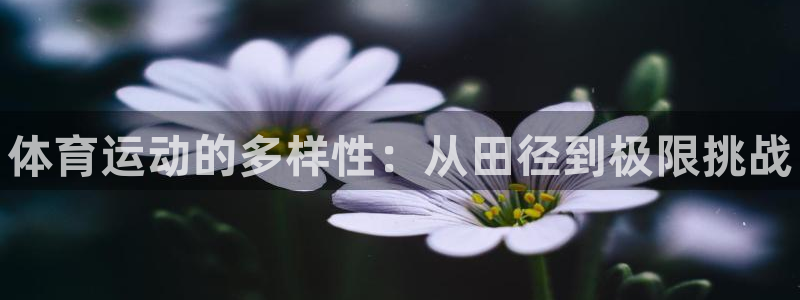 MK体育官网下载官方客服电话：体育运动的多样性：从田径到极限