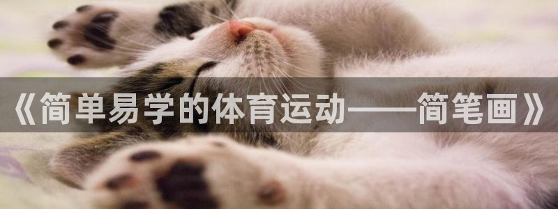 MK体育官方正版app娱乐：《简单易学的体育运动——简笔画》