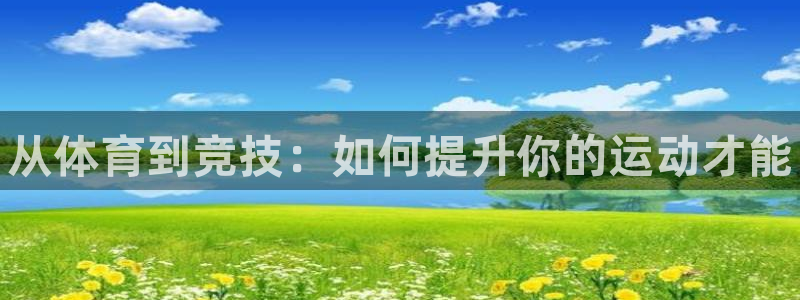 MK体育官网下载招商电话号码查询：从体育到竞技：如何提升你的