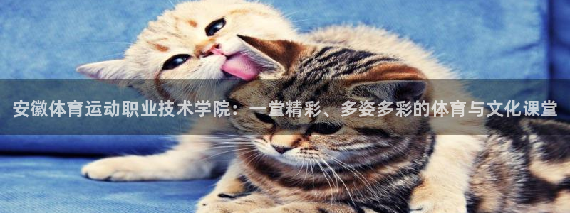 MK体育官网下载招商电话号码查询：安徽体育运动职业技术学院：
