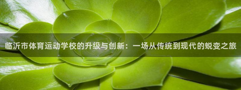 MK体育官网下载平台：临沂市体育运动学校的升级与创新：一场从