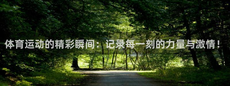 德国MK体育官方正版app集团：体育运动的精彩瞬间：
