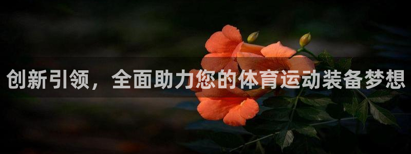 MK体育官方正版app集团简介：创新引领，全面助力您