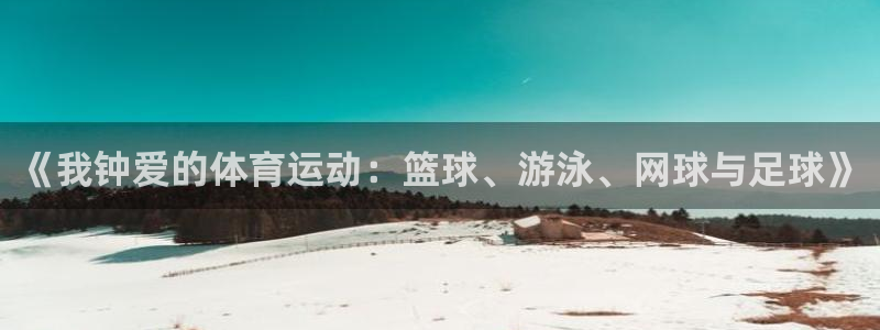 MK体育官方正版app神州：《我钟爱的体育运动：篮球