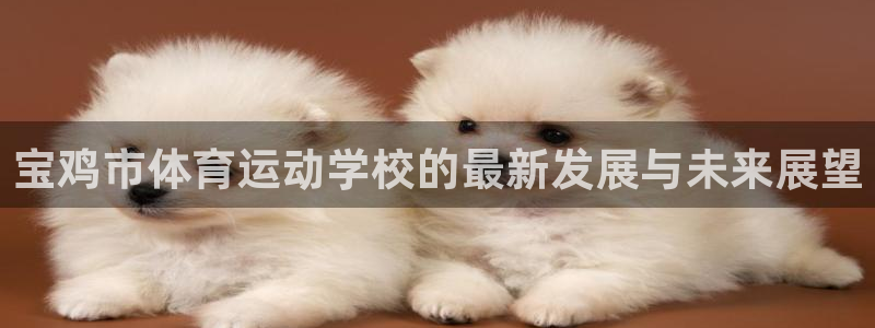 MK体育官方正版app集团官网首页网址：宝鸡市体育运