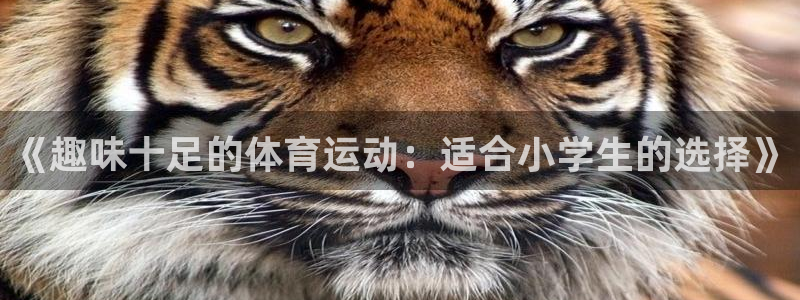 MK体育官方正版app娱乐首页官网下载：《趣味十足的体育运动