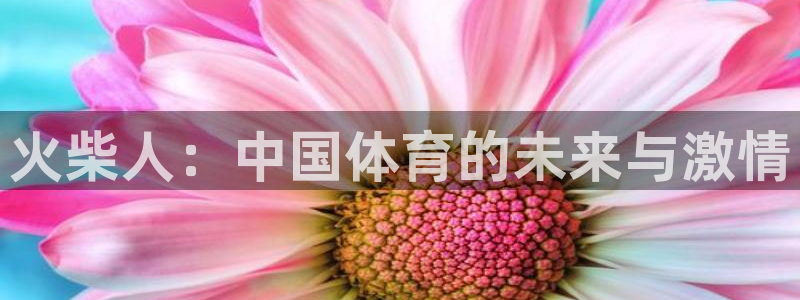 MK体育官网下载招商电话