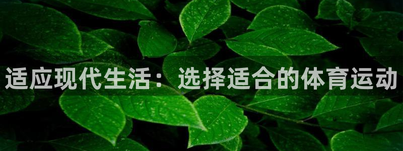 MK体育官方正版app娱乐下载：适应现代生活：选择适合的体育
