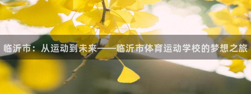 MK体育官网下载招商：临沂市：从运动到未来——临沂市体育运动