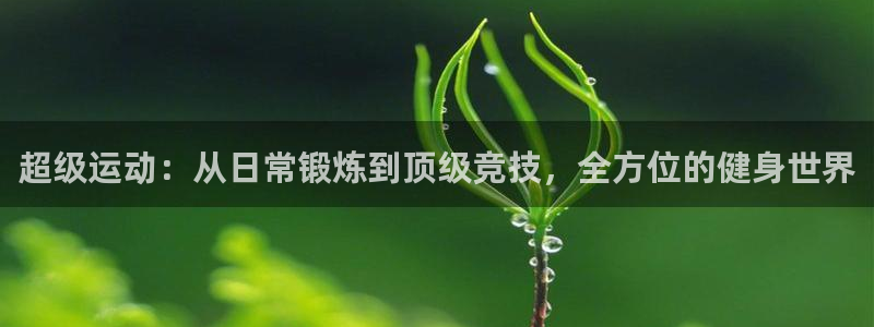 MK体育官网下载平台是正规平台吗安全吗：超级运动：从