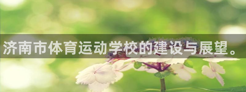 MK体育官方正版app娱乐代理怎么样：济南市体育运动学校的建