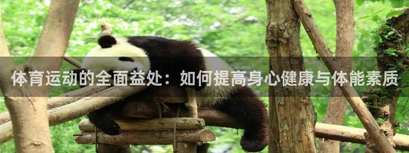 MK体育官方正版app集团官网首页网址：体育运动的全