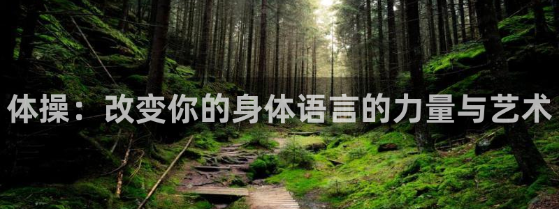 MK体育官方正版app娱乐平台：体操：改变你的身体语