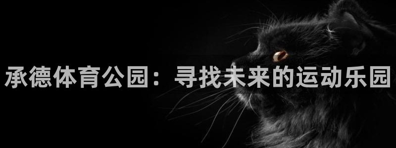 MK体育官网下载平台假的吗是真的吗：承德体育公园：寻