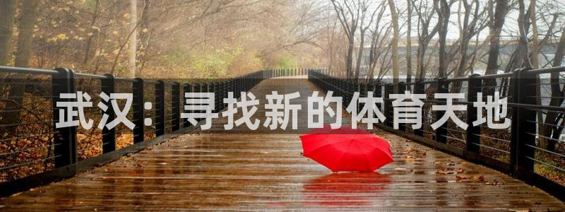 德国MK体育官方正版app集团：武汉：寻找新的体育天
